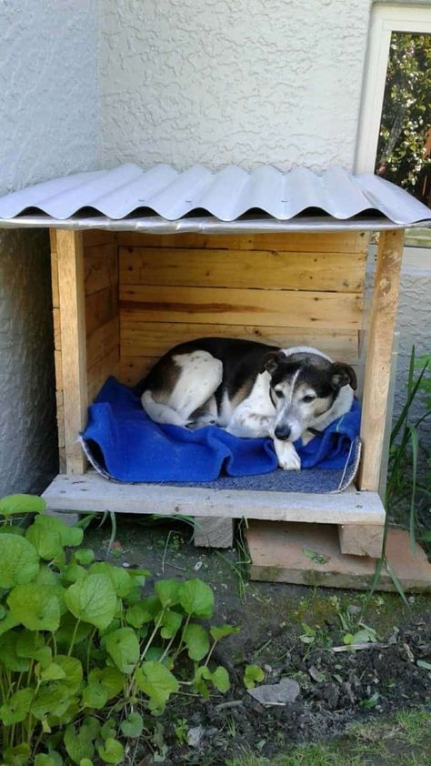 Pallet Doghouse, Easy Dog House, Pallet Dog House, Outdoor Dog House, Dog Toilet, 1001 Pallets, Dog House Diy, Dog Area, Recycled Pallets