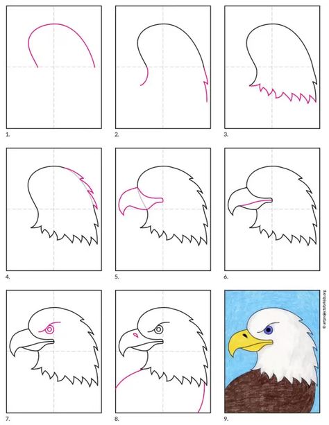 How to Draw a Bald Eagle Head · Art Projects for Kids How To Draw An Eagle Step By Step, How To Draw Eagle, How To Draw An Eagle, Eagle Drawing Simple, How To Draw Birds Easy, Draw Eagle, Bald Eagle Drawing, Eagle Drawing Easy, Direct Drawing