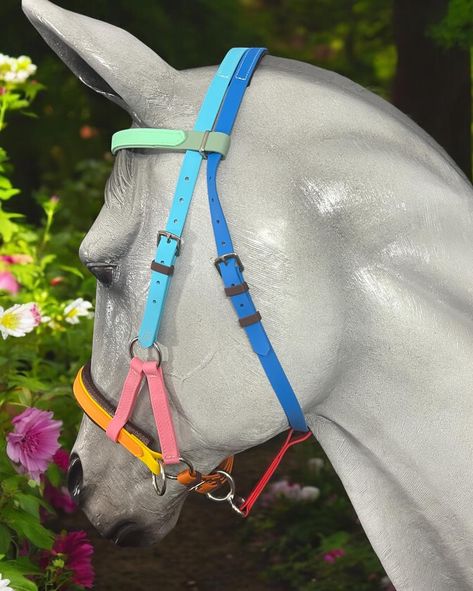 Hash Tag - No Limits 🌈 This beauty is Canada bound, made for a uniquely coloured horse 🐎 🍁LS Bitless SidePull Bridle, Rainbow Coloured 🍁 Fun Fact- Did you know that LS now has 4 different styles of SidePull Bridles, as well as the option to add SidePull rings to both the Enduro & 2 part bridles? Whether you’re after a simple halter SidePull, Jowl strap SidePull, or stability SidePull, you can find it right here at LS - where there are no limits 🤩🇳🇿 View our extensive Bitless & Multi Brid... Diy Bitless Bridle, Horse Bitless Bridle, Sidepull Bridle, Bitless Bridle, Bridles, Diy Dog, Diy Dog Stuff, Fun Fact, Dog Accessories