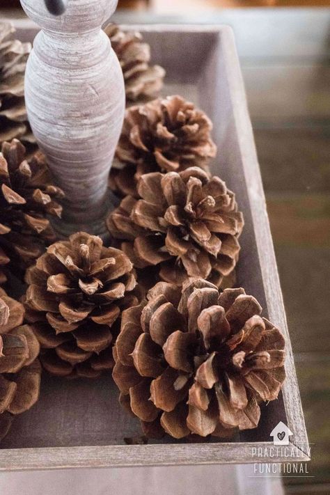 Two easy ways to make cinnamon scented pinecones for your fall home decor this year! This easy fall craft is a great way to add that yummy fall cinnamon scent to your home this season! Cinnamon Pinecones Decor, Diy Cinnamon Pinecones, Cinnamon Pinecones Diy, Cinnamon Scented Pinecones, Pinecones Decor, Cinnamon Pinecones, Cinnamon Scent, Diy Cinnamon, Scented Pinecones