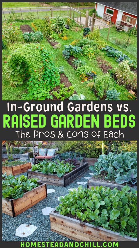 Raised Garden Beds Diy Vegetables, Planning Garden, Garden Bed Layout, Raised Vegetable Gardens, Garden Layout Vegetable, Gardening Design, Gardening Landscaping, Garden Plots, Raised Garden Beds Diy