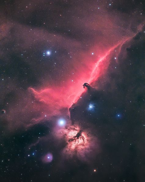 The Horsehead Nebula (Barnard 33) is an iconic dark nebula in the constellation Orion. Along with the nearby Flame Nebula (NGC 2024), this region is one of my absolute favorite deep-sky targets to shoot with my DSLR camera and telescope. Hubble Space Telescope Pictures, Dark Nebula, Constellation Orion, Horsehead Nebula, Blue Reflection, Dark Galaxy, Night Sky Art, Orion Constellation, Nebulas