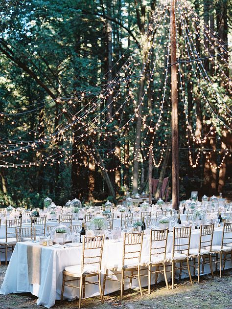 Want a woodland wedding? Set the outdoor reception aglow with a DIY string light tent for magical mood lighting. Diy Woodland, Diy String Lights, Rustic Wedding Decorations, Wedding Tent, Outdoor Wedding Reception, Outdoor Reception, Wedding Day Timeline, Tent Wedding, Woodland Wedding