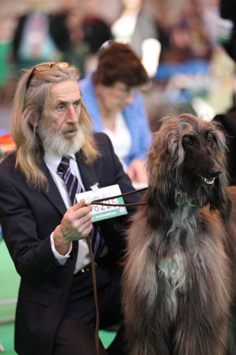 Dogs look like their owners. One of those stereotypes based in truth, surely? http://mirr.im/wG2VzO Find Your Spirit Animal, Your Spirit Animal, Afghan Hound, Dog People, Like Animals, Dog Show, Whippet, Look Alike, Dog Pictures