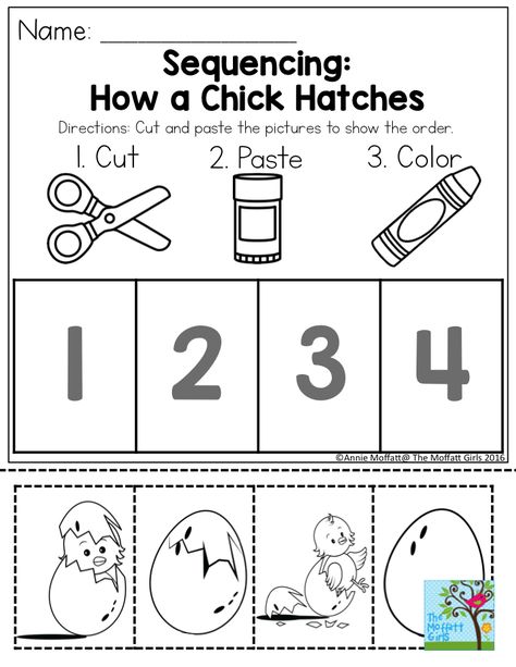 Sequencing: How a Chick Hatches- Cut and paste the order of events. Fun activity for PRESCHOOL! Farm Theme Preschool, Sequencing Worksheets, Farm Preschool, Kindergarten Worksheets Printable, Sequencing Activities, Spring Preschool, Kindergarten Science, Petite Section, Preschool Science