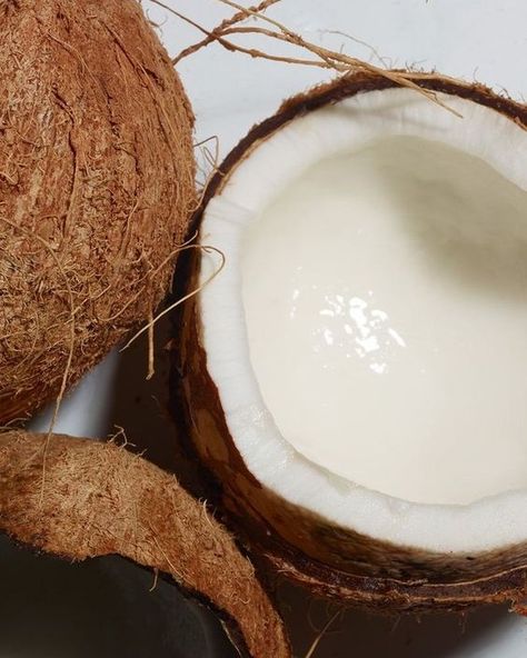 Do you know that all of our body butters contain coconut oil? Coconut oil is known for its exceptional moisturizing properties, rich in vitamins and antioxidants that nourish and hydrate the skin from within. Pamper yourself with the luscious texture and irresistible fragrance of our body butter, leaving your skin feeling soft, smooth, and rejuvenated. 🥥 Coming back soon... - #TheExecutiveSweet #TheSweetLife #SelfCareIsntSelfish #SelfCareEveryday #WellnessLifestyle #WellnessAdvocate #Holist... Coconut Milk Aesthetic, Moisturizing Aesthetic, Coconut Oil Aesthetic, Coconut Body Oil, Coconut Aesthetic, Coconut Oil Body, Kokum Butter, Sugar Body Scrub, Sugar Body