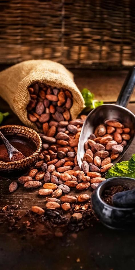 Coffee Beans Photography, Cocoa Beans, Cacao Beans, Coffee Photography, Fresh Coffee, Great Coffee, Chocolate Coffee, Coffee Cafe, Coffee Love