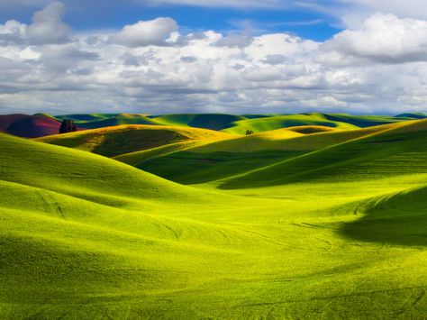 Landscape Design App, Palouse Washington, Green Hills, Green Landscape, Rolling Hills, Hd Backgrounds, Nature Landscape, Landscape Wallpaper, Green Wallpaper