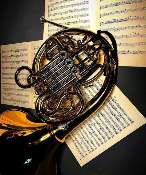 French Horn Aesthetic, Poem Aesthetic, Pretty Instruments, Horn Instrument, Horn Instruments, French Horns, Brass Instruments, Band Kid, Kids Mood