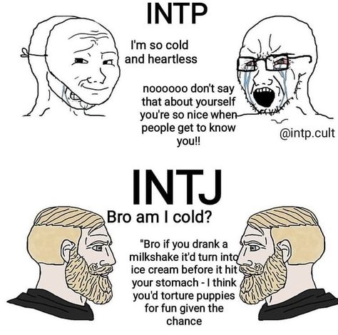 Intp Intj Memes Funny, Types Of Intj, Mbti Intp Meme, Intj T Personality, Intj Memes Humor, Intj And Intp Relationships, Enfp X Intj Meme, Intj And Intp Funny, Intj Personality Characters