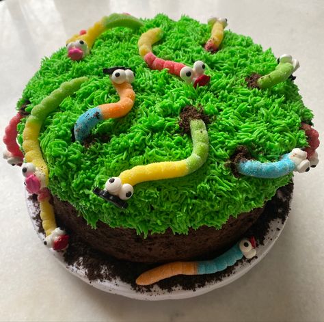 Worm Themed Birthday Party, Superworm Cake, Gummy Worm Cake Birthday, Bug Theme Birthday Cake, Bugs Birthday Cake, Dirt And Worms Cake, Bug Cakes For Boys, Bug Cake Ideas, Worm Birthday Cake