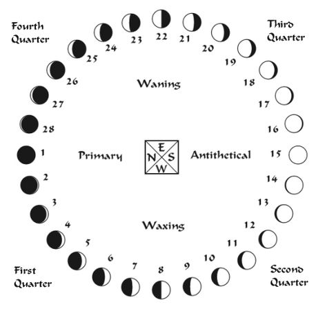 W B Yeats, The Phases Of The Moon, Moon Phase Calendar, Moon Journal, Occult Symbols, Moon Calendar, Pocket Calendar, Lunar Phase, Lunar Calendar