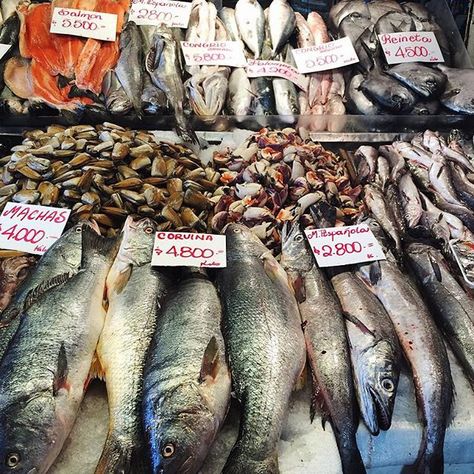 Lots of fish at the Mercado Central. #ka_onlocation Fish Butchery, Brixton Market, Dino Bones, Fish Monger, Rotten Fruit, Parrot Fish, Raw Fish, Daisy Mae, Central Market