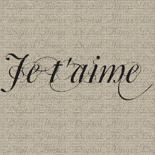 Valentines Wall Decor, Valentines Quote, French Love Quotes, French Manor, Nomadic Life, Fabric Pillows, Punk Rock Princess, Paris Bedroom, Romantic Wallpaper