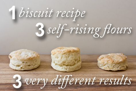 Which Flour Makes the Best Biscuits? Self Rising Flour Biscuits, Making Biscuits, Flour Biscuits, Best Biscuits, Homemade Pantry, White Lilly, How To Make Biscuits, Biscuit Rolls, Bread Biscuits