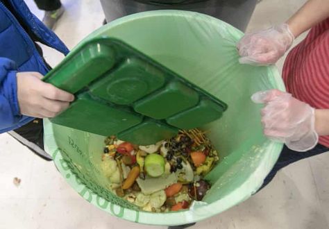 California tackles food waste with largest recycling program in US | California | The Guardian Food Waste Recycling, California Food, Waste Recycling, Food Donation, Recycling Process, Join Hands, Food Pack, Food Scraps, Food System