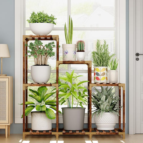 Wooden Plant Stands Indoor, Tall Indoor Plants, Corner Plant, Tall Plant Stands, Wooden Plant Stands, Plant Display, Plant Shelf, Wood Plant Stand, Room Balcony