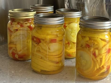 Pickled Squash Recipe Canning Yellow Squash, Pickled Squash Recipe, Pickled Squash, Squash Pickles, Canning Squash, Canned Squash, Carolina Bbq Sauce, Summer Squash Recipes, Yellow Squash Recipes