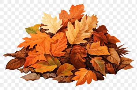 Fall Leaves Background, Leaf Pile, Leaves Png, Reference Pose, Tree Png, Autumn Tree, Leaves Autumn, Leaf Background, Digital Planning