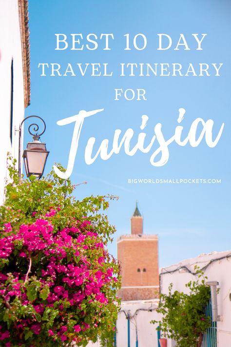 The perfect travel plan if you want to see the true diversity of this county, this epic 10 day north Tunisia itinerary will have you experiencing the best of this much underrated destination… | #traveltunisia #northafricatravel Tunisia Itinerary, North Africa Travel, 10 Day Itinerary, Travel Aesthetics, Travel Africa, Safari Adventure, Travel Plan, Mombasa, Travel Locations