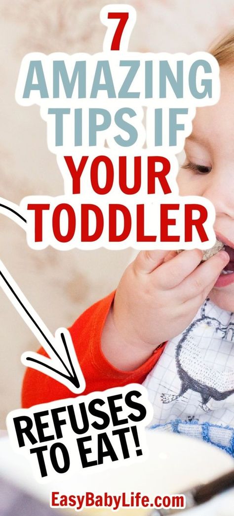 Wondering how to feed a toddler who refuses to eat? These are the best tips to get your child to eat when they don't want to. Dealing with a picky eater is tough. Don't force-feed, don't make feeding a power struggle. These genius tips will make it a lot easier to know how to get a toddler to eat!  This is normal toddler behavior, so smart tips for parenting toddlers are key! Sick Baby Remedies, Baby Development Milestones, Toddler Picky Eater, Baby Remedies, Baby Development Activities, Toddler Hacks, Motherhood Advice, Toddler Parenting, Power Struggle