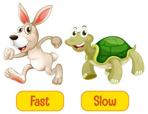 Education Cartoon, Adjective Words, Background Education, Opposite Words, Fast And Slow, English Lessons For Kids, Alphabet Worksheets, Preschool Worksheets, Custom Illustration