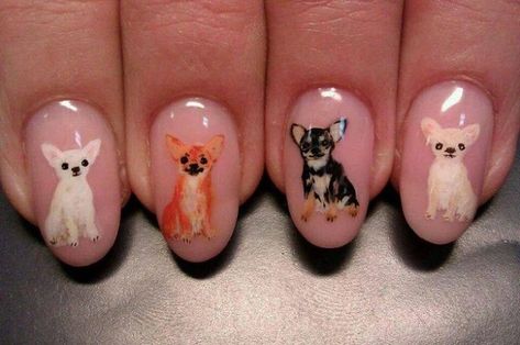 Chihuahua nails...would you wear them? More Chihuahua Nail Art, Dog Nail Art, Animal Nail Art, Animal Nails, Cute Chihuahua, Dog Nails, Chihuahua Love, Dogs And Cats, Beautiful Nails