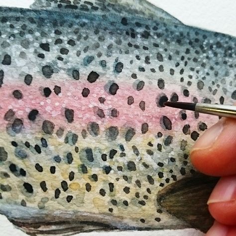 Rainbow Trout / Watercolor on Behance Rainbow Trout Watercolor, Watercolor Trout Painting, How To Draw A Trout, Watercolor Salmon, Watercolor Trout, Watercolor Trout Tutorial, Watercolour Fish Paintings, Trout Drawing, Rainbow Trout Picture