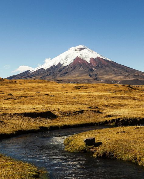 🇪🇨 Cotopaxi National Park - Ecuador 🇪🇨  ............................ One of the most active volcanoes in the world and Ecuador's second highest peak is bound to satisfy all your hiking adventure cravings. Pitch a tent for spectacular views and regular visits from the park's friendly llamas. 😍 ........................... #MindBlowingCampsites #Mallome #Camping #CampingLife Cotopaxi Volcano, Tent View, Mountain Pictures, Hiking Adventure, Active Volcano, Camping Life, Mind Blowing, Mount Rainier, Volcano