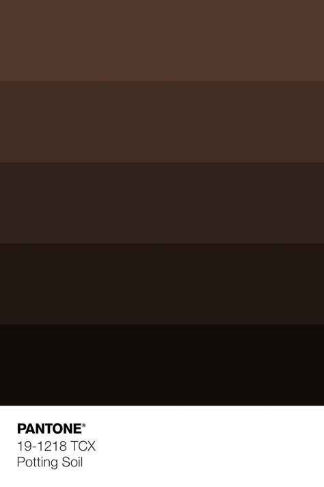 Brown Pantone, Mixing Primary Colors, Zyla Colors, Pantone Colour Palettes, Brown Color Palette, Fall Color Palette, Color Cafe, Color Palette Design, Dark Brown Color