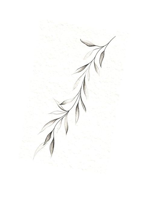 Willow Leaf Tattoo Arm, Leaf Tattoo Under Breast, Simple Branch Tattoo, Flora Tattoos For Women, Willow Tree Leaves Tattoo, Zweig Tattoo, Willow Leaves Tattoo, Vine Leaf Tattoo, Fine Line Olive Branch Tattoo