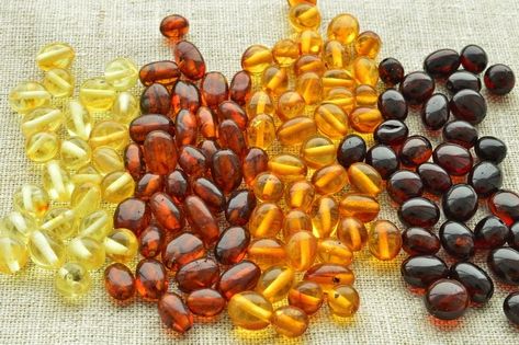 100% All Natural Baltic Amber | Perfect for Necklaces, Bracelets, Handcrafted Jewelry for Natural Remedies, Absorbs Negative Energies. The 100 Piece Baltic Amber Beads Set provides all natural beautiful gems that will look great on any necklace, bracelet, pair of earrings regardless of the setting or event you are in. Explore World, Lemon Honey, Honey Color, Baltic Amber Jewelry, Amber Bracelet, Natural Amber, Honey Colour, Amber Beads, Chip Beads