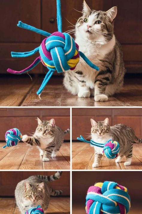 Top 15 DIY Cat Toys [Make Within Miutes] Cats Diy Toy, No Sew Cat Toys, Diy Cat Toys Interactive, Cat Toys Diy Easy, Diy Cat Enrichment, Cat Toy Diy, Cat Accessories Diy, Diy Cat Toys Easy, Cat Enrichment