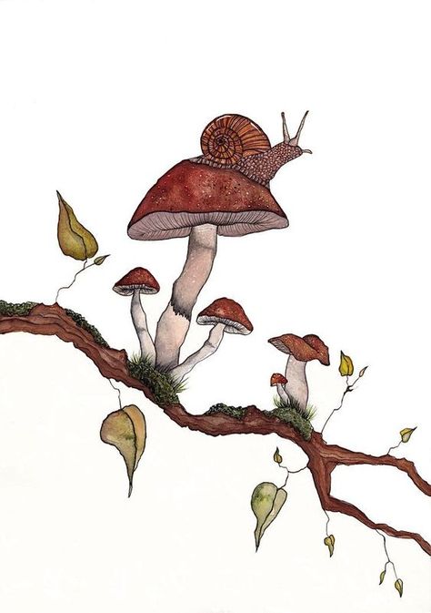 Snails Drawing, Cute Snail Drawings, Snails And Mushrooms, Watercolour Mushroom, Snail Watercolor, Mushrooms Painting, Snail Painting, Cottagecore Drawing, Mushrooms Watercolor