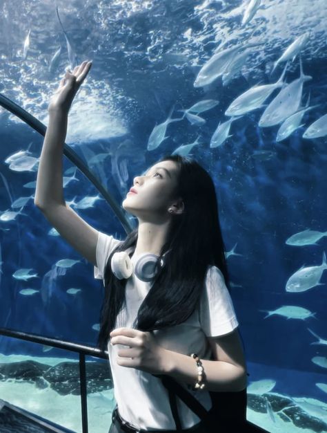 china, aquarium, blue Aquarium Photos, Aquarium Pictures, 사진 촬영 포즈, Ocean Park, Cinematic Photography, Pose Reference Photo, 영감을 주는 캐릭터, Sea And Ocean, 인물 사진