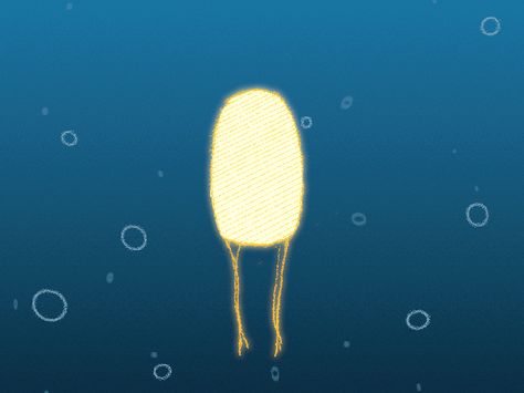 Jellyfish Gif Animation, Jelly Animation, Jellyfish Animation, Animated Jellyfish, Underwater Animation, Jellyfish Gif, Animation Drawing Sketches, Animation Classes, Learn Animation