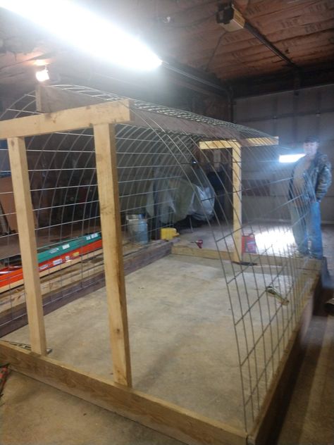 Hoop Coop, Quail Coop, Cute Chicken Coops, Easy Chicken Coop, Chicken Coop Garden, Duck Coop, Cattle Panels, How To Raise Chickens, Chicken Pen