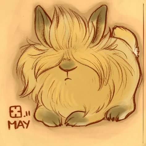 Lion's Mane Jellyfish, Dog Lion Mane, Lionhead Bunny, Lionhead Rabbit, Funny Lion, Wild Lion, Bunny Tattoos, Lions Mane Mushroom, Rabbit Tattoos