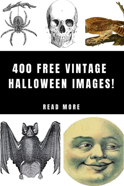 Vintage Halloween Banner, Vintage Halloween Decorations Diy, Sticker Projects, Vintage Halloween Prints, Family Clip Art, Vintage Halloween Crafts, Halloween Clipart Free, Spooky Images, Vintage Halloween Invitations