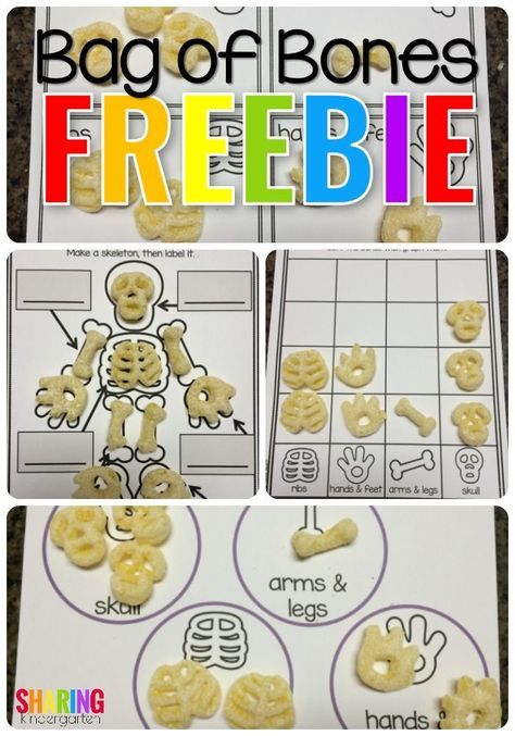 Bag Of Bones, Halloween Activities Preschool, Halloween Centers, October Activities, Halloween Kindergarten, Fall Kindergarten, Halloween Classroom, Halloween Preschool, Halloween Math