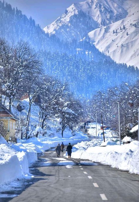 Beautiful view of Hirpora village Shopian kashmir .... 2022 winter☃️ #shopian #MuhgalRoad...🚗 Click by.. #imuimran Kashmir In Winter, Kashmir Winter, Nature Vibes, Beautiful View, My Photo Gallery, Beautiful Views, Photo Gallery, Vision Board, Collage