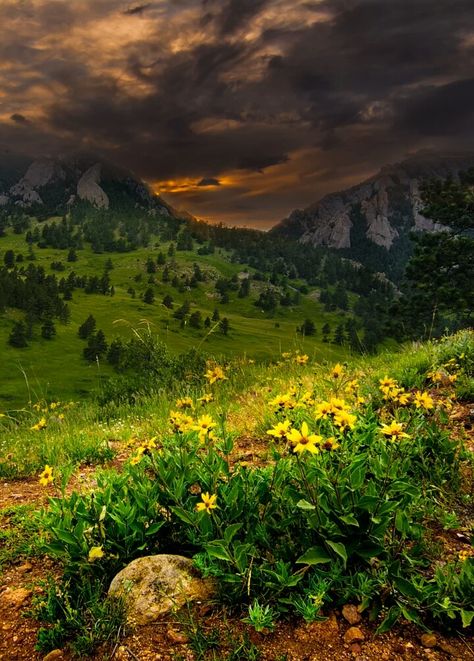 Rocky Mountains, Boulder, Colorado - by Fredrick Meling Rocky Mountain Gothic, Rocky Cliff, Rocky Hill, Flowers Background, Boulder Co, Boulder Colorado, Landscape Nature, Art Website, Rocky Mountain