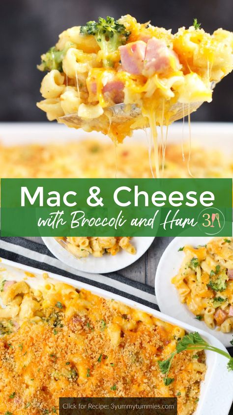 This Fancy Mac and Cheese with Broccoli and Ham is a complete meal in one. Plenty of white and sharp cheddar cheese and a crispy, bread crumb topping make this a delectable meal that everyone in the family will enjoy. Broccoli Ham Mac And Cheese, Ham And Mac And Cheese Casserole, Ham And Broccoli Mac And Cheese, Mac And Cheese And Ham, Ham Mac N Cheese, Macaroni And Cheese With Broccoli, Mac N Cheese With Ham, Ham Pasta Bake, Baked Mac And Cheese With Ham