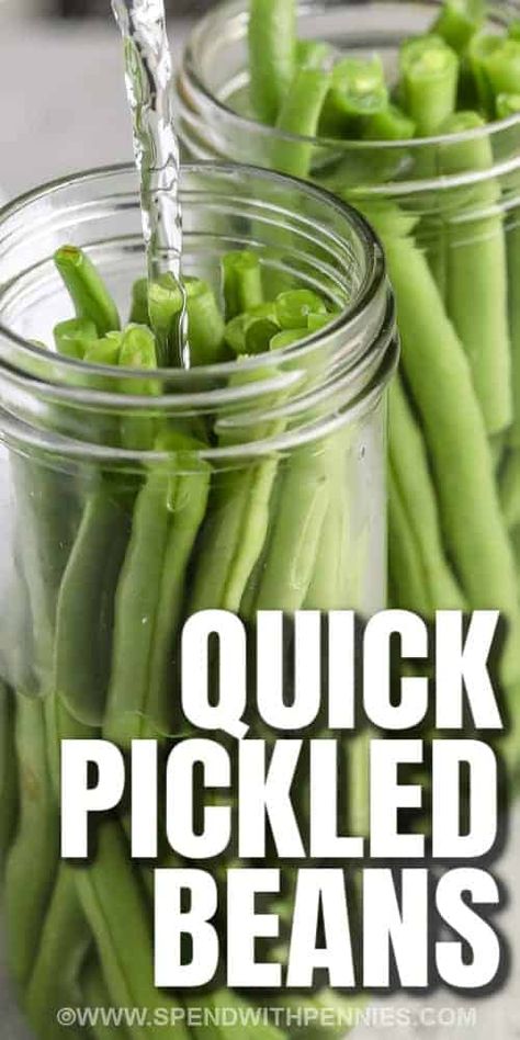 Spicy Pickled Beans, Pickled Green Bean Recipes, Pickled Beans, String Bean Recipes, Garlic Green Bean Recipes, Chicken Caesar Pasta, Pickled Vegetables Recipe, Easy Pickle, Spicy Green Beans