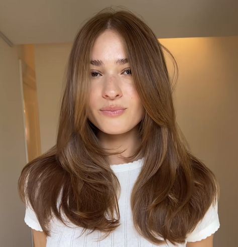 Mid Long Length Haircut, Long Hair With Angles, True Autumn Hair Color Palette, Butterfly Cut On Medium Hair, 90s Haircut Midlength, Lola Tung Hair Color, Layers Haircut Medium Length, Auburn Light Brown Hair, Layers Short Hair Shoulder Length