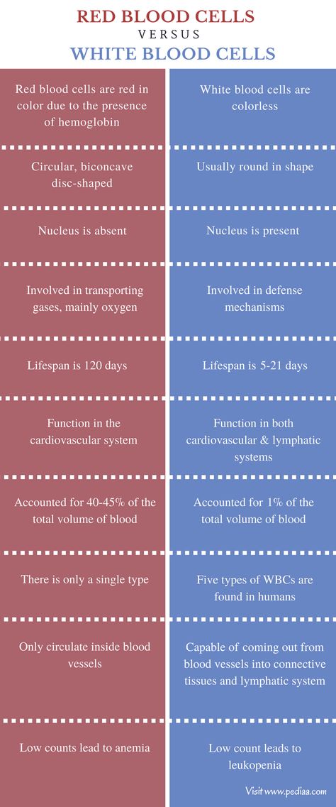 Types Of Blood Cells, Function Of Blood, Human Body Projects, Blood Components, Cells Project, Basic Anatomy And Physiology, Nursing Student Tips, White Blood, Medical School Inspiration