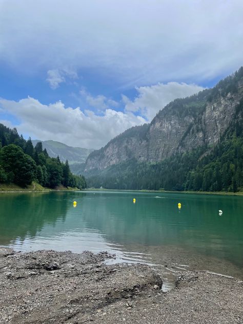 Morzine montriond haute-savoie Morzine France Summer, Morzine France, Season Pictures, France Summer, French Alps, Spring 2024, Daisy, France, Green