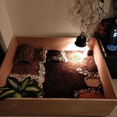 How to Build the Best Enclosure for Your Greek Tortoise - PetHelpful Tortoise Tank Ideas, Tortoise Enclosure Indoor, Greek Tortoise, Tortoise Terrarium, Tortoise Cage, Turtle Terrarium, Bearded Dragon Terrarium, Tortoise Food, Turtle Homes