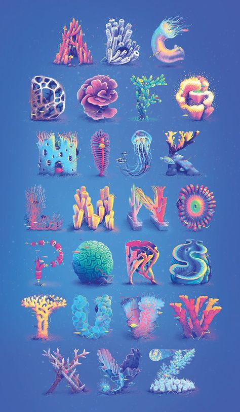 Alphabet Design Creative, Coral Types, Fish Alphabet, Coral Illustration, Water Alphabet, Coral Reefs Illustration, Sea Typography Design, Coral Reef Graphic Design, Alphabet Illustration Typography