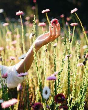 ... Field Of Dreams, Foto Art, The Meadows, Nature Girl, Flower Farm, Relax Time, Simple Pleasures, Photo Set, Flower Child